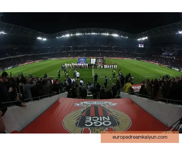 尼斯球队结构分析：职业足球俱乐部的发展与管理模式详解